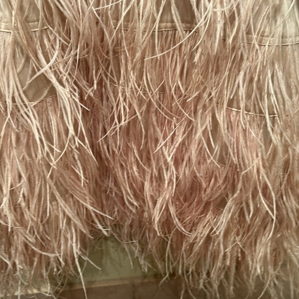Bebe strapless fringe and sequin dress. Top is gold and the fringe is light pink - Picture 3 of 11